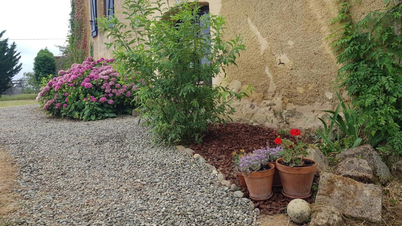 Apartament Le Peyroutet Cazaux-Villecomtal Zewnętrze zdjęcie
